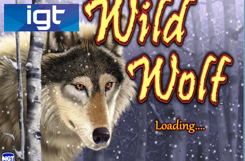 Wild Wolf